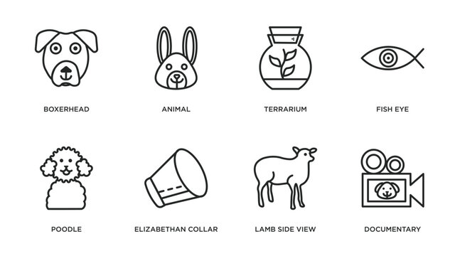 animals outline icons set. thin line icons such as boxerhead, animal, terrarium, fish eye, poodle, elizabethan collar, lamb side view, documentary vector.