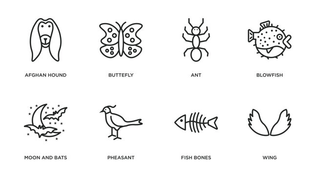 animals outline icons set. thin line icons such as afghan hound, buttefly, ant, blowfish, moon and bats, pheasant, fish bones, wing vector.