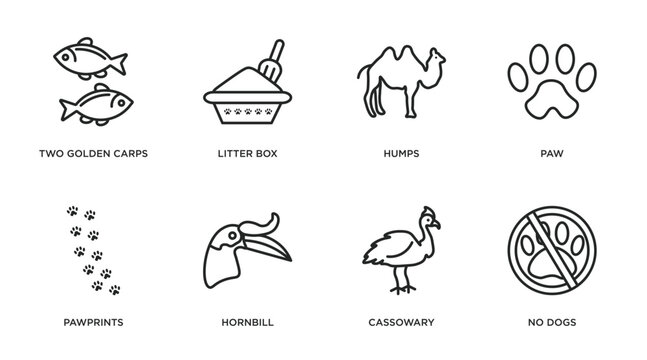 animals outline icons set. thin line icons such as two golden carps, litter box, humps, paw, pawprints, hornbill, cassowary, no dogs vector.