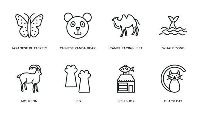 animals outline icons set. thin line icons such as japanese butterfly, chinese panda bear, camel facing left, whale zone, mouflon, leg, fish shop, black cat vector.