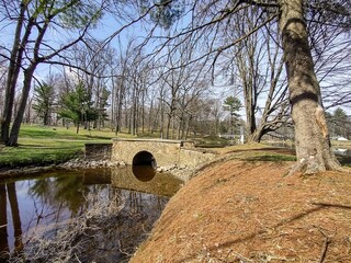 Bridge in park