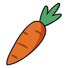 Carrot isolated on white
