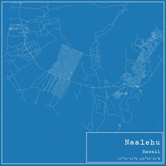 Blueprint US city map of Naalehu, Hawaii.
