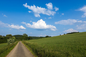 green open fields in the countryside with blue sky in sauerland