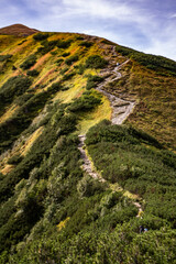 szlak na Kopę Kondracką, Czerwone Wierchy, Tatry Zachodnie, Polska, Tatrzański Park Narodowy, Kościelisko, Zakopane
