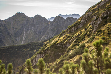 grań Tatr Wysokich z przełęczy Kondrackiej. kosodrzewina, Tatry Zachodnie, Polska, Tatrzański Park Narodowy, Kościelisko, Zakopane