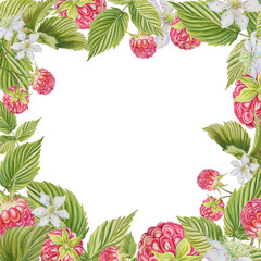 Raspberry frame. Watercolor illustration on an isolated background. Banner, postcard. Beautiful business design.