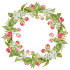 A wreath of raspberries. Berries, leaves, inflorescences. Watercolor illustration on an isolated background. Frame, postcard.