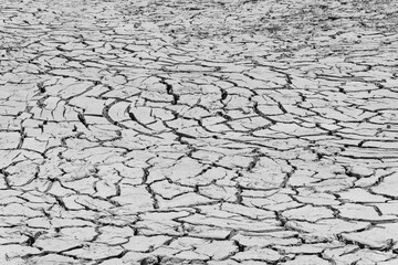 Monochromatic picture, dry and cracked ground texture as a background.