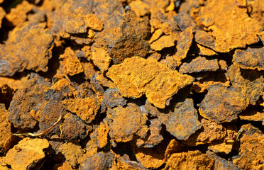 grunge rust background texture image