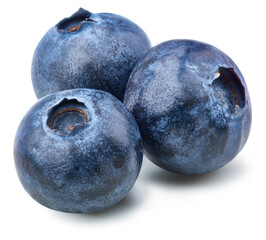 Blueberry Isolated with clipping path