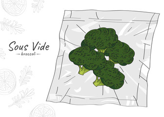 Vector hand drawn sketch illustration of broccoli. Sous-Vide Slow Cooking Technology.