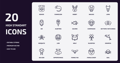 animals outline icons set. animals thin line icons pack such as beaver, walrus, albotros, mosquito, hippopotamus, fennec fox, female sheep, seal vector.