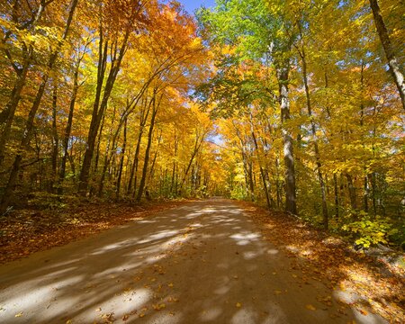 Fall colours country road