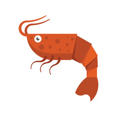 Shrimp icon. Flat illustration of shrimp vector.