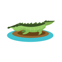 Crocodile flat icon isolated on white background. Vector illustration