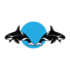 Two killer whales on a white background. Vector illustration for your design