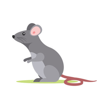 Cute gray mouse cartoon vector Illustration isolated on a white background