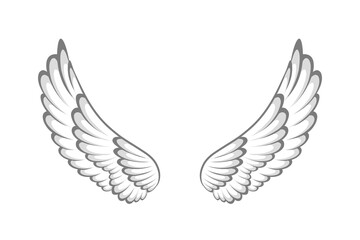 Obraz premium angel wings icon vector 