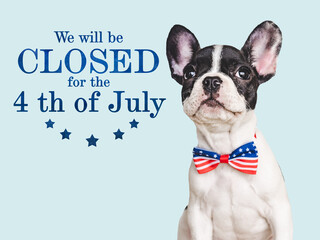 Signboard with the inscription We will be closed for the 4th of July. Cute brown puppy. Closeup, indoors. Studio shot. Congratulations for family, loved ones, friends and colleagues. Pets care concept