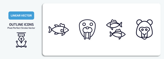 animals outline icons set. animals thin line icons pack included salmon, walrus, tuna, baboon vector.