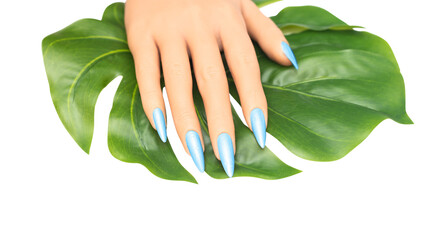 Female hand with long nails with glitter nail polish. Long blue nail design. Woman hand with blue manicure on transparent background