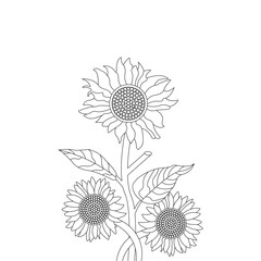 Sunflower Coloring Book For Adults
