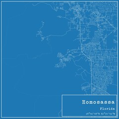 Blueprint US city map of Homosassa, Florida.