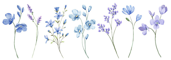 Blue flowers digital illustration, summer design, watercolor hand painting. Perfectly for printing, sublimation.	 - obrazy, fototapety, plakaty