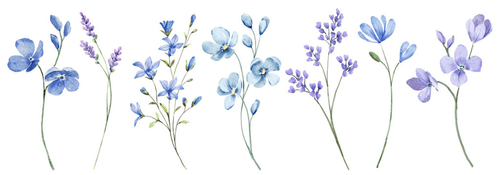 Blue&nbsp;flowers digital illustration, summer design, watercolor hand painting. Perfectly for printing, sublimation.	