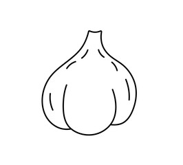 Vector isolated one single simplest garlic vegetable with greens colorless black and white contour line easy drawing