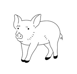 Vector isolated one single cute cartoon little piglet  colorless black and white contour line easy drawing
