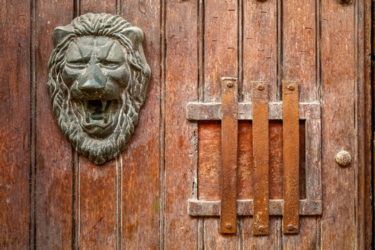 Artful door knocker with lion head at an old wooden door, Cartagena, Colombia