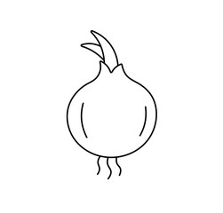 Vector isolated one single simplest onion vegetable with greens colorless black and white contour line easy drawing