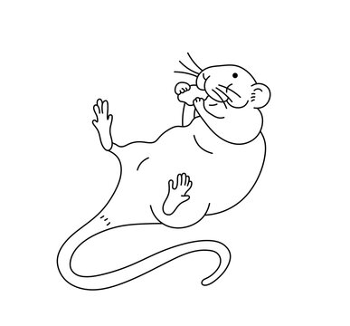 Vector isolated one single cute cartoon rat mouse  lying on back and eating colorless black and white contour line easy drawing