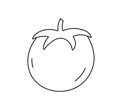 Vector isolated one single simplest tomato vegetable with stalk colorless black and white contour line easy drawing
