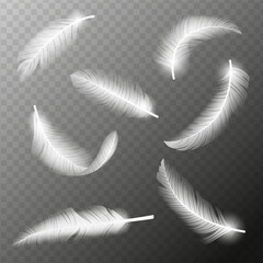 Flying feathers. Falling twirled fluffy realistic white swan, dove or angel wings feather flow. Realistic 3d vector illustration of falling dove feathers texture