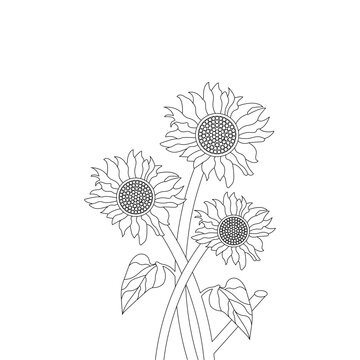 Sketch of Sunflower Hand Drawn Outline Vector