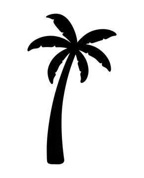 Palm and Coconut Tree Silhouette for Summer Element