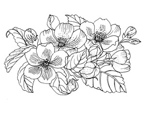 vector coloring page with flower, line art
