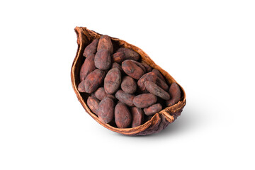 Cocoa bean on white