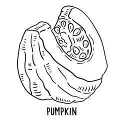 Vector hand drawn pumpkin Illustration.
