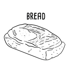 Bread. vector hand drawn illustration