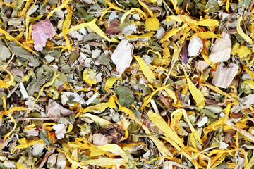 Herbs for stomach and digestion consisting of achillea, blackberry and peppermint leaves, marigold flowers, calamus root, fennel and anise