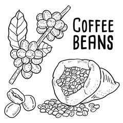 Coffee. vector hand drawn illustration