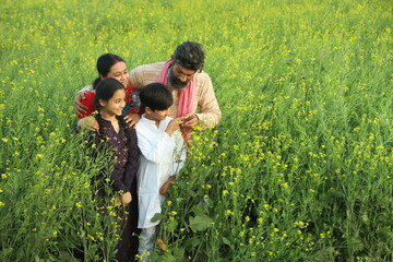 Happy Indian farmers standing in the mustard field and enjoying the benefits from the flourished...
