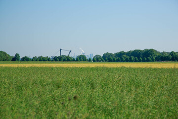 Manheim Tagebau Braunkohlentagebau RWE