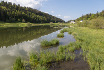 Fototapeta na wymiar Le lac de Lamoura est le lac le plus élevé du Jura français. Situé au pied de la forêt du Massacre, dans un écrin de nature préservé, le lac de Lamoura présente une flore exceptionnelle