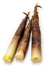 真竹、タケノコ