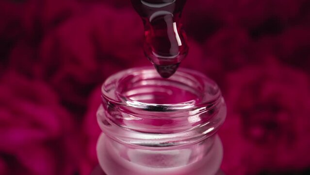 Rose essential oil dripping. Producing aroma serum extract. Macro perfume concept